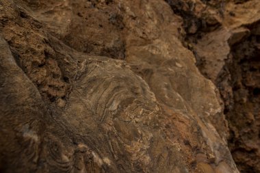 Mağara duvarına yakın çekim. Gözenekli bej yüzey. Arkaplan olarak kullanabilirsiniz