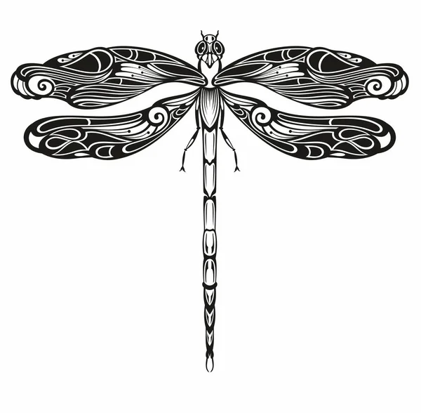Dragonfly Med Känsliga Vingar Vektor Illustration — Stock vektor