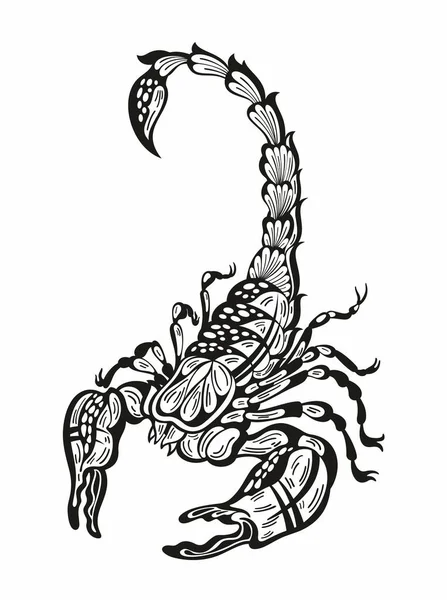 Šablona Loga Škorpiónů Jedinečné Čerstvé Vektorové Ilustrace Škorpiónů — Stockový vektor