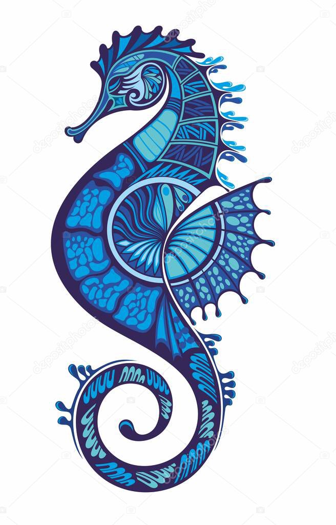 Seahorse on isolated white  background