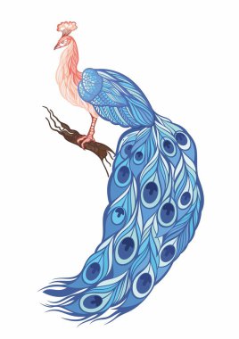 Bir dalda oturan tavus kuşu temsili çizimi