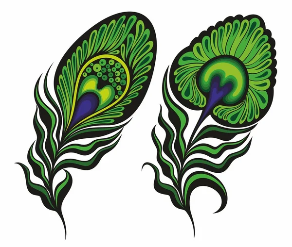 Tavuskuşu Tüyü Izole Vektör Ikonu Yeşil Renkli Süslemeli Dekoratif Kuş Telifsiz Stok Vektörler