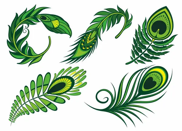 Set Verde Piume Peackokdesign Piume Uccello Illustrazione Vettoriale Illustrazione Stock