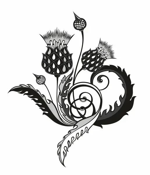 Enginar Sembolü Desenler Süsler Için Çiçek Dekoratif Unsurları Karalama Çizimi Telifsiz Stok Vektörler