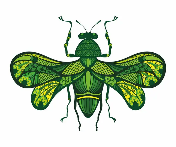 Fantazy Hand Drawing Beetle Artistic Bug Entomological Vector Illustration Wektory Stockowe bez tantiem