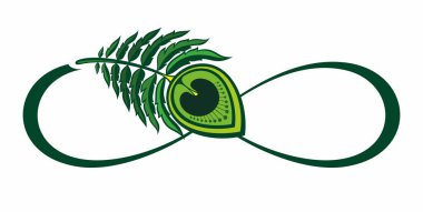 Contour, sanatsal olarak çizilmiş sonsuzluk sembolü beyaz arka planda hafif tüy. Tavus kuşu tüyü