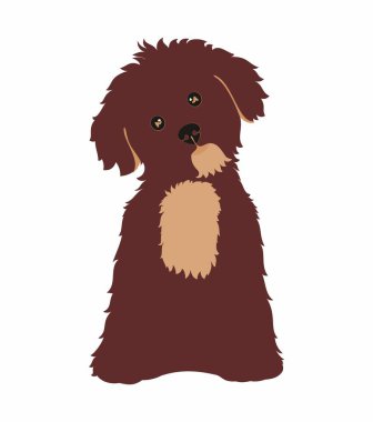 Komik köpek vektör silueti. Komik Maltese köpek sembolü. Tebrik kartı ya da baskı için dekorasyon. Kupa, tişört, telefon kılıfı için soyut tabela. Yazdırma, poster ve tekstil için ideal.