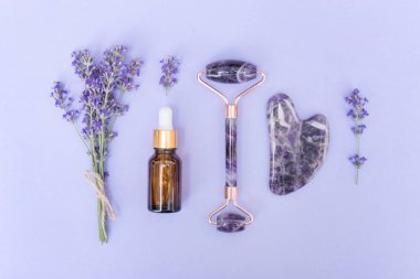 Ametist gua sha yüz kaldırma aracı - gua sha rulo ve yüz masajı için yüz serumu ya da mor arkaplan üzerinde lavanta kozmetik yağ ile kazıyıcı. Düzleştirme biçimi