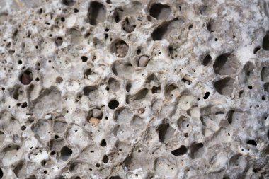Erozyon delikleri olan tahıllı kireç taşı dokusu. Tasarımın için doğal deniz taşı arka planından eskimiş. Makro fotoğraf. Seçici odak