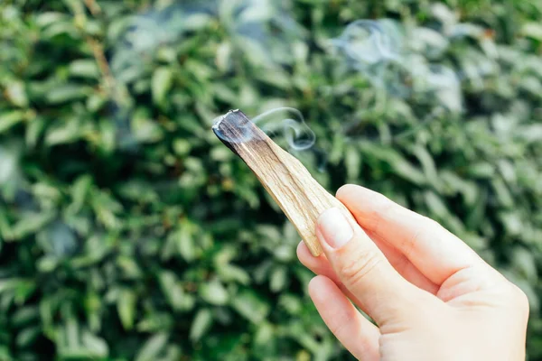 stock image Smoldering palo santo stick with smoke in female hand against natural green leaves background with copy space. Fumigation ritual process. Burning palo santo for meditation