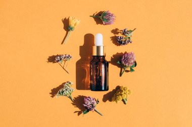 Sarı cam damlası şişesinde bitkisel yağ, şifalı bitkiler ve turuncu arka planda güzel kokulu çiçekler var. Modern eczacı, homeopati ve aromaterapi konsepti. Düz yatıyordu