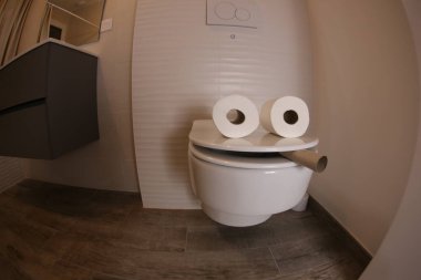 wide angle shot of smoking toilet face made with paper rolls, comedy concept