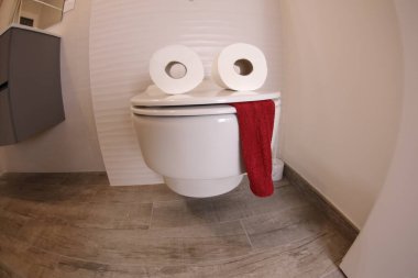 wide angle shot of toilet with face made of paper rolls and red towel, comedy concept