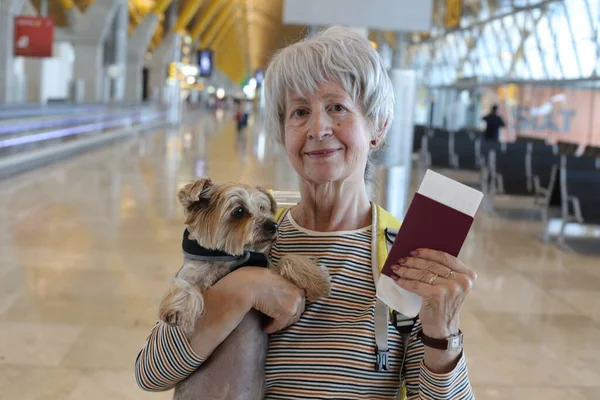 大人の女性の肖像とパスポートと空港での可愛い犬 — ストック写真