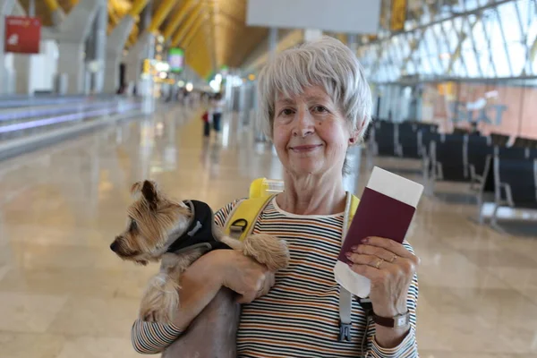 大人の女性の肖像とパスポートと空港での可愛い犬 — ストック写真