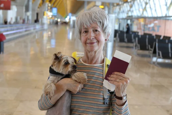 Primer Plano Retrato Mujer Madura Con Pasaporte Adorable Perrito Aeropuerto — Foto de Stock