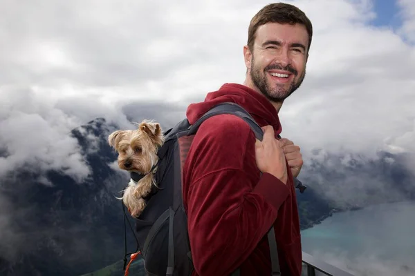 Portrait Handsome Happy Young Man Travelling His Cute Dog Backpack — Stock Photo, Image