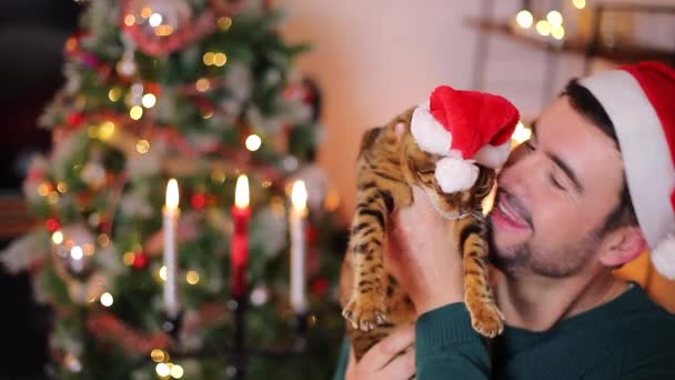 Närbild Bilder Glad Stilig Ung Man Med Söt Katt Tomte — Stockvideo