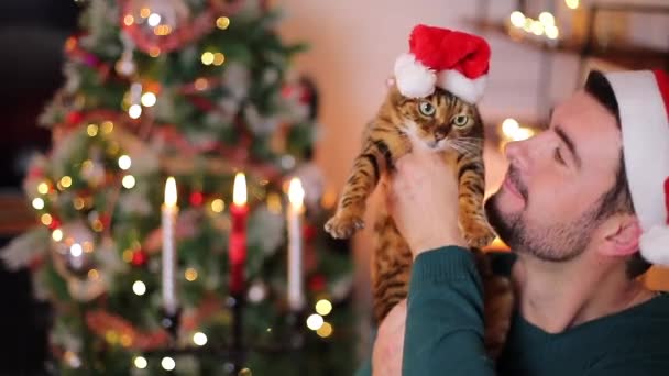 クリスマスを祝うサンタの帽子でかわいい猫と幸せなハンサムな若者のクローズアップ映像 — ストック動画