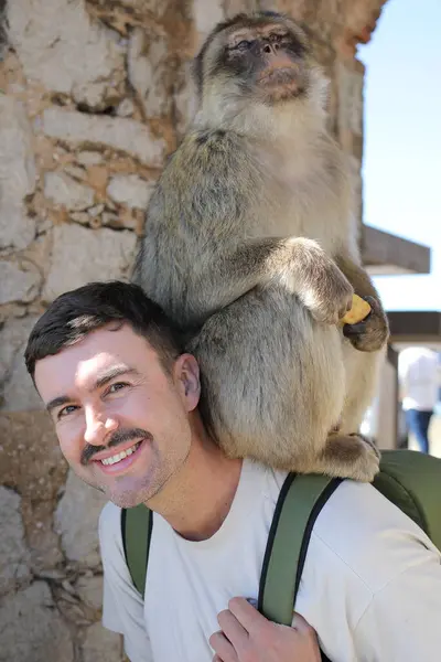 Retrato Joven Guapo Llevando Mono Vuelta Naturaleza Durante Las Vacaciones Imagen de archivo