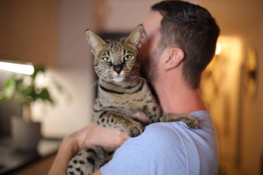 handsome Man holding a Savannah cat clipart