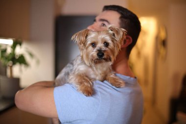 Güzel Yorkshire Teriyeri sahibiyle poz veriyor.