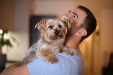 Güzel Yorkshire Teriyeri sahibiyle poz veriyor.