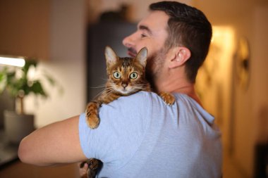 Yakışıklı adam Savannah kedisini tutuyor.