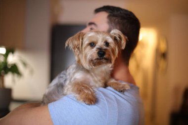 Güzel Yorkshire Teriyeri sahibiyle poz veriyor.