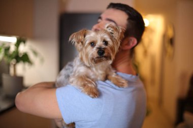 Güzel Yorkshire Teriyeri sahibiyle poz veriyor.