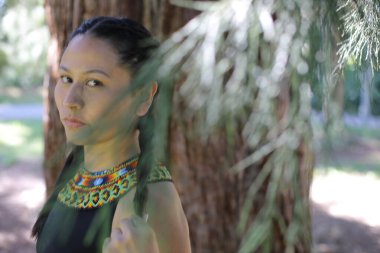 Geleneksel renkli elbiseli Amerikan yerlisi bir kadın. 