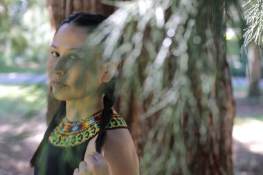 Geleneksel renkli elbiseli Amerikan yerlisi bir kadın. 