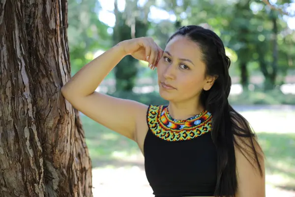 Geleneksel renkli elbiseli Amerikan yerlisi bir kadın. 