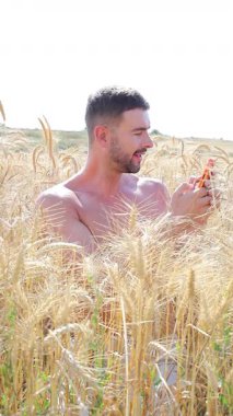 Akıllı telefonlu buğday tarlasında yakışıklı bir adam.