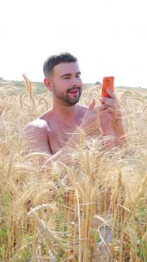 Akıllı telefonlu buğday tarlasında yakışıklı bir adam.