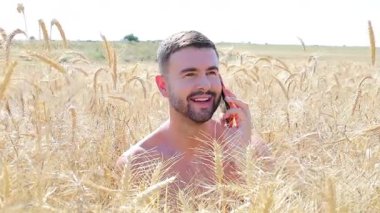 Akıllı telefonlu buğday tarlasında yakışıklı bir adam.