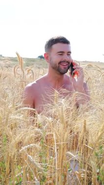 Akıllı telefonlu buğday tarlasında yakışıklı bir adam.