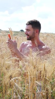 Akıllı telefonlu buğday tarlasında yakışıklı bir adam.