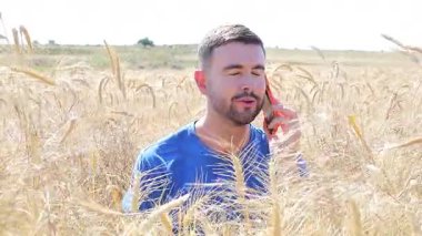 Akıllı telefonlu buğday tarlasında yakışıklı bir adam.