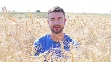 Tarlada altın buğdaylı bir adam