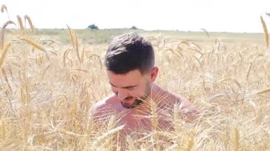 Buğday tarlasında mutlu genç adam, kapat.