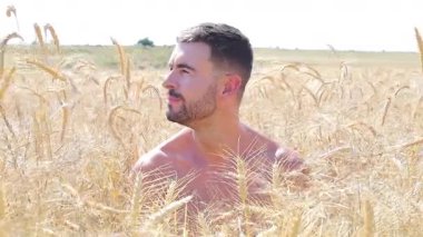 Buğday tarlasında mutlu genç adam, kapat.