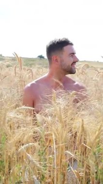 Buğday tarlasında mutlu genç adam, kapat.