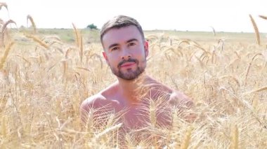 Buğday tarlasında mutlu genç adam, kapat.