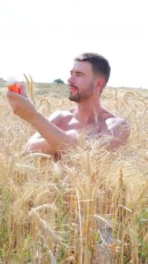 Buğday tarlasında mutlu genç adam, kapat.