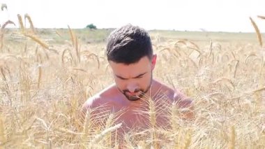 Buğday tarlasında mutlu genç adam, kapat.