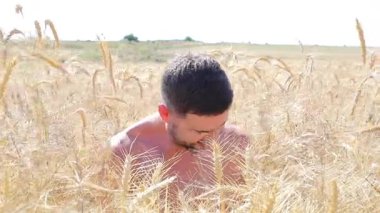 Buğday tarlasında mutlu genç adam, kapat.