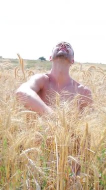 Buğday tarlasında sakallı yakışıklı bir adam, yaz günü, mutlu bir gülümseme