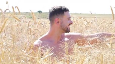 Buğday tarlasında sakallı yakışıklı bir adam, yaz günü, mutlu bir gülümseme