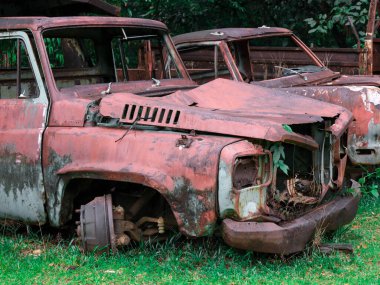 Paslı araba çimenli bir tarlada kısmen terk edilmiş duruyor.